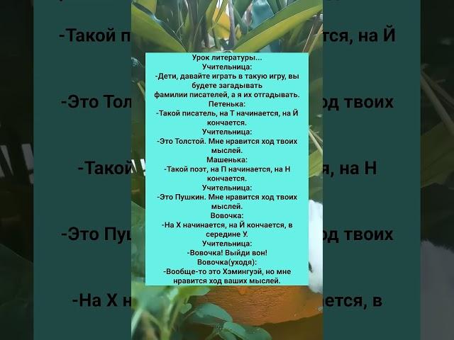 Анекдоты, которые смешат до слёз  Спасибо за  и подписку ️ #юмор
