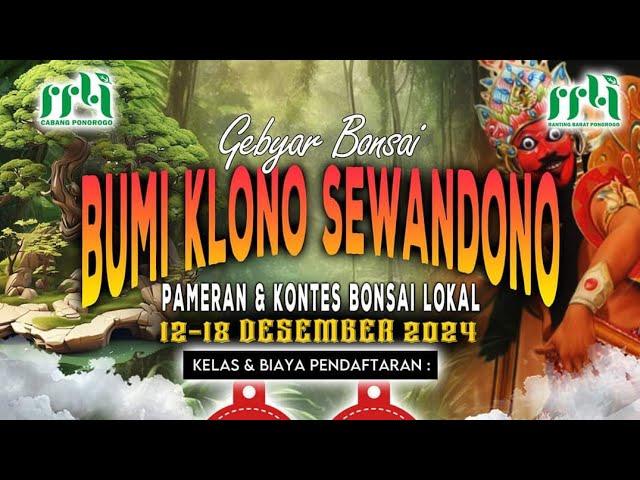 Pamlok Bonsai Ponorogo - GEMBYAR BONSAI BUMI KLONO SEWANDONO 2024 #zukazukabalibonsai