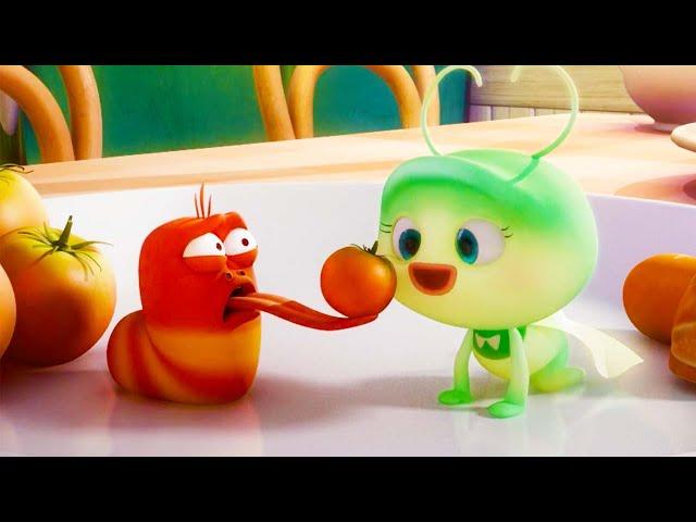 RED'S NEW LOVE ️ #VALENTINESDAY | LARVA | Cartoons for Kids | WildBrain Kids