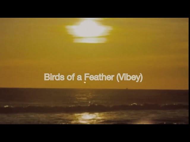 Birds of a Feather (Vibey) - Official Audio - Sunset Party