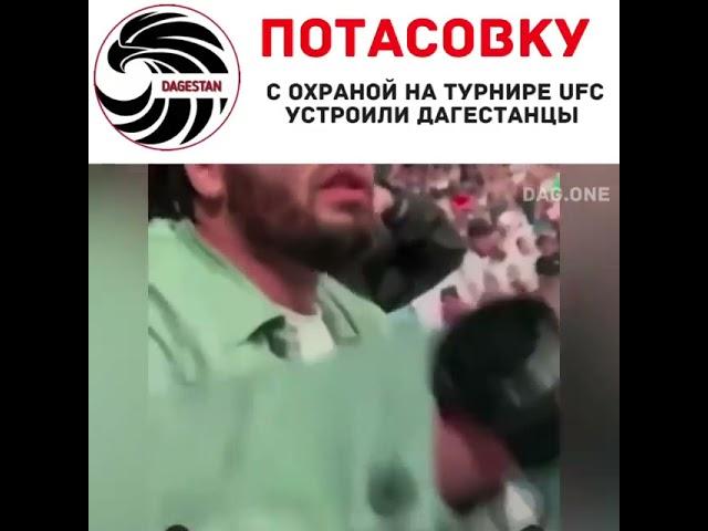 Абу-Даби турнире UFC, дагестанцы, имеющие высокие посты в республике