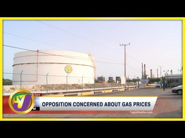 PNP Concerned about Gas Prices in Jamaica | TVJ Business Day