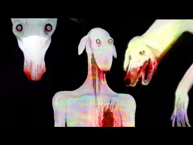 the unsettling horror of dexter the dog