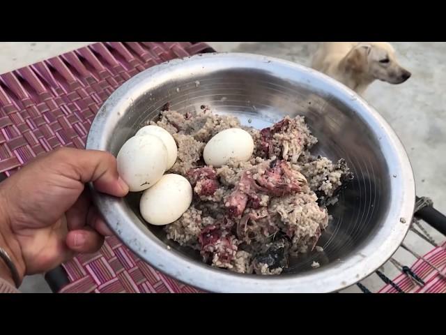 Dogs के लिए घर में बनाये Non - Veg Food 