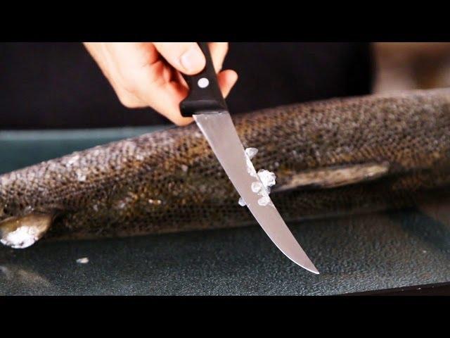 How to Remove Scales | Fish Filleting