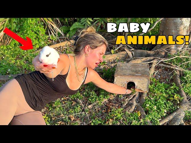 PULLING BABY ANIMALS OUT OF NEST! WHAT IS IT?!