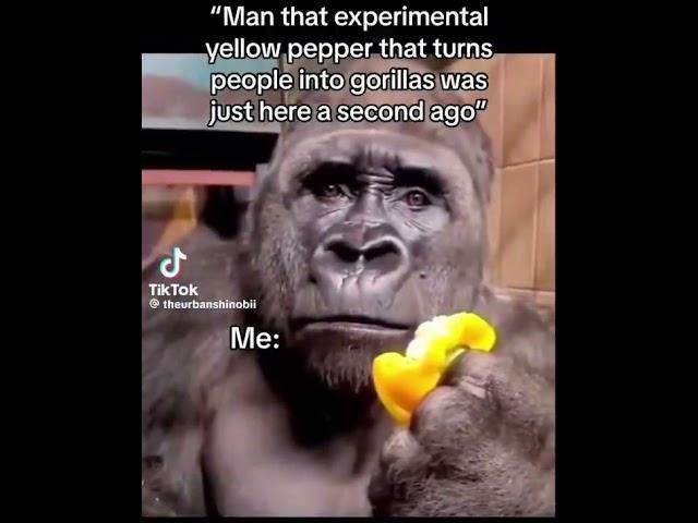 Yellow pepper that turns people into gorillas