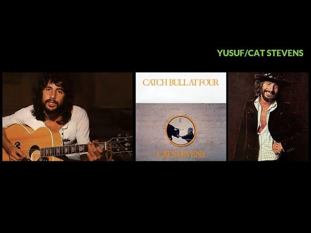 YUSUF/CAT STEVENS - Ruins