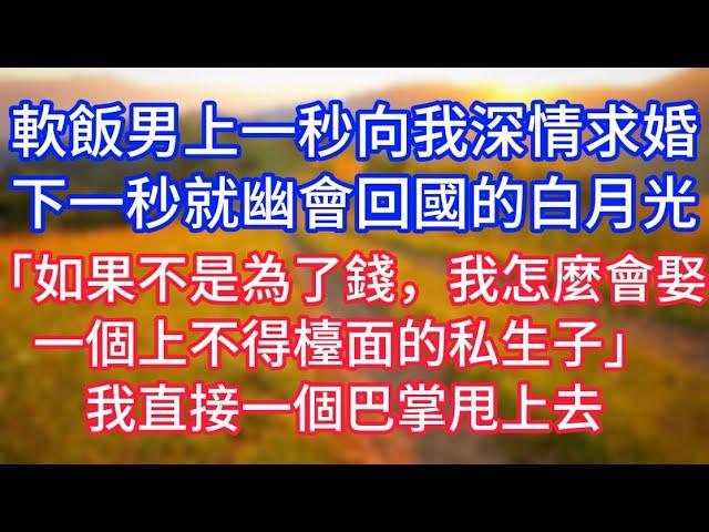 軟飯男上一秒向我深情求婚，下一秒就幽會回國的白月光，「如果不是為了錢，我怎麼會娶一個上不得檯面的私生子」我直接一個巴掌甩上去!#復仇 #逆襲 #爽文#白月光#心聲新語