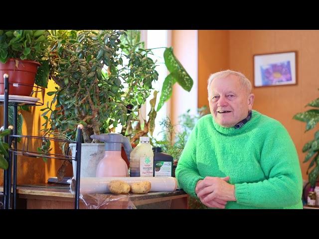 Как подготовить картофель к посадке и получить рекордный урожай.