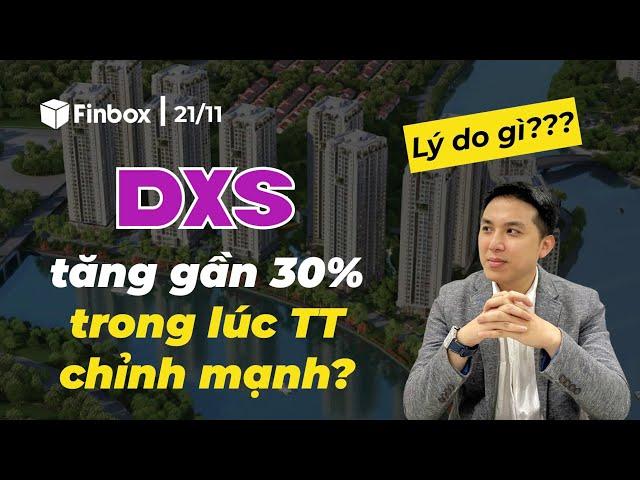 Yếu tố giúp cổ phiếu DXS tăng gần 30% trong lúc thị trường chỉnh mạnh