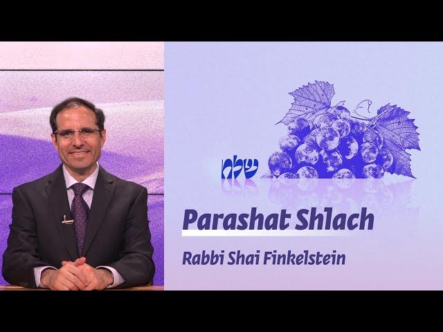 Parashat Shlach | Leadership styles   | Rabbi Shai Finkelstein