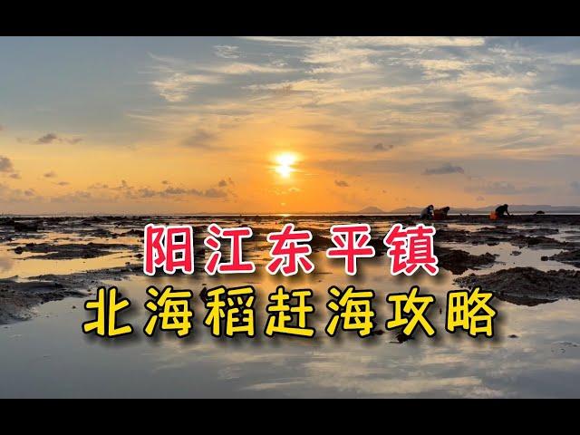 体验阳江东平镇北海稻，赶海，看日落