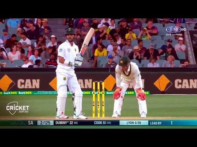 Matthew Wade Gets Vocal Behind The Stumps 2016