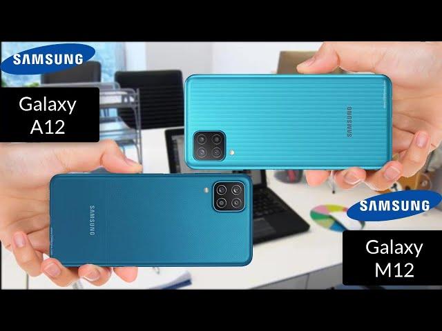 Samsung Galaxy A12 vs Samsung Galaxy M12