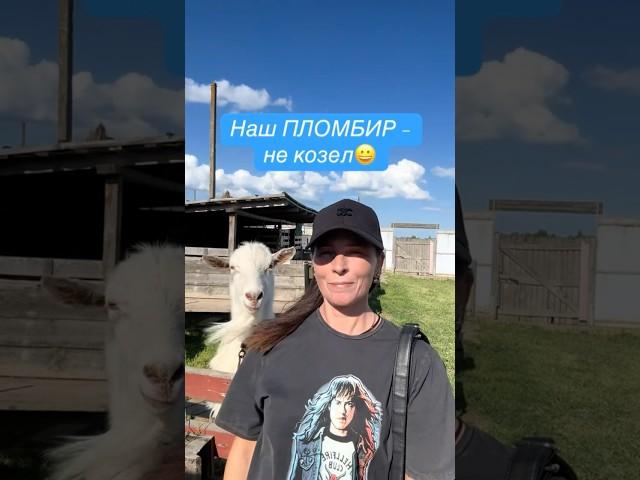 ️ #одесскаяобласть #бессарабия #украина #напозитиве #измаильскийрайон