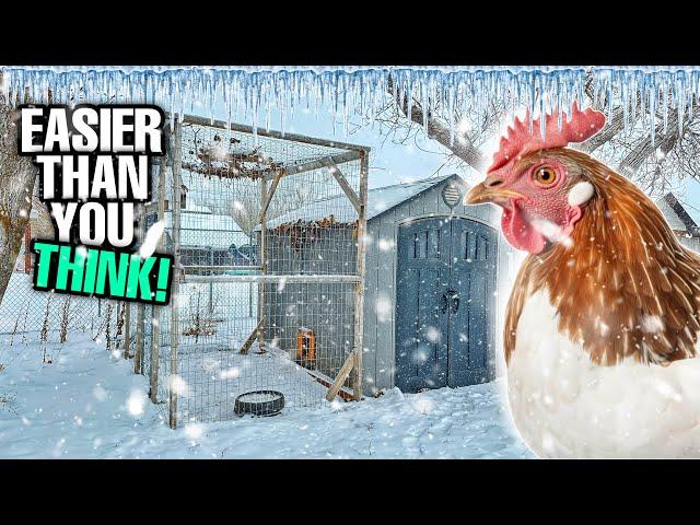 Preparing Our Chickens For An Arctic Blast And Heavy Snow!