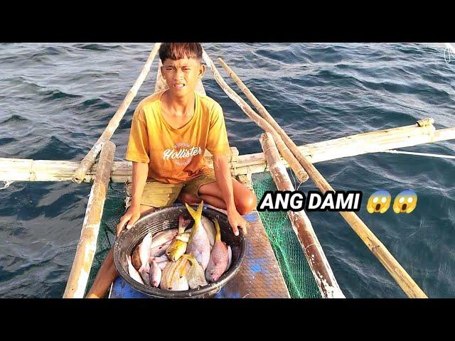 Grabe! Maraming Isda Nanaman Ang Natuklasan Ang Dami Nila Jackpot!