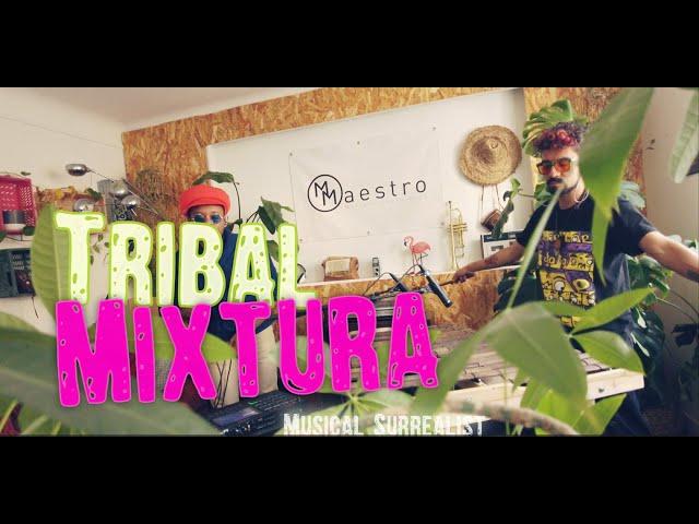 TribalMixtura - Musical Surrealist (Live from MMaestro Live Sessions, Paris)