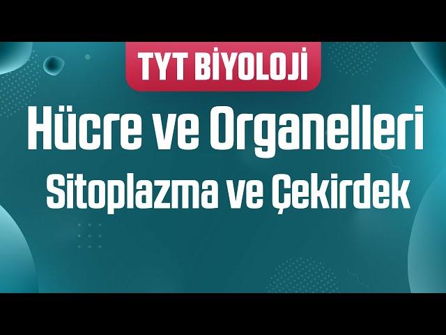 18) Sitoplazma ve Çekirdek Kısımları