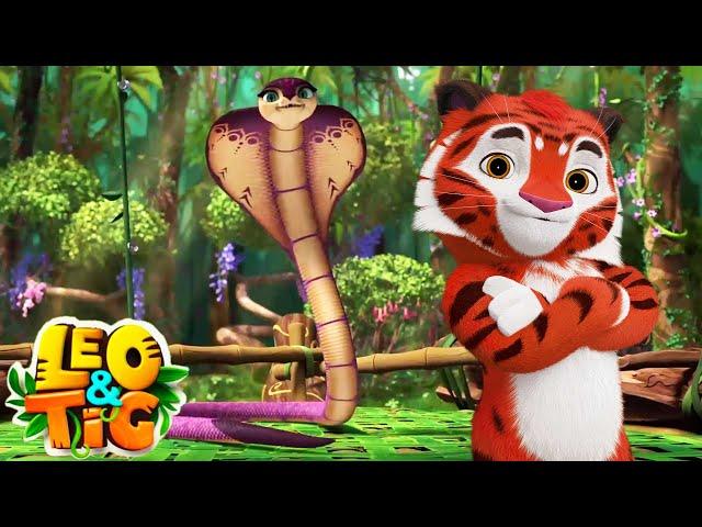 LEO and TIG   The Snake Charmer  NEW EPISODE  Moolt Kids Toons Happy Bear