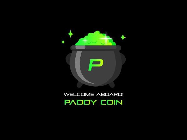 How To Buy PADDYCOIN - Earn Gold When You Hold