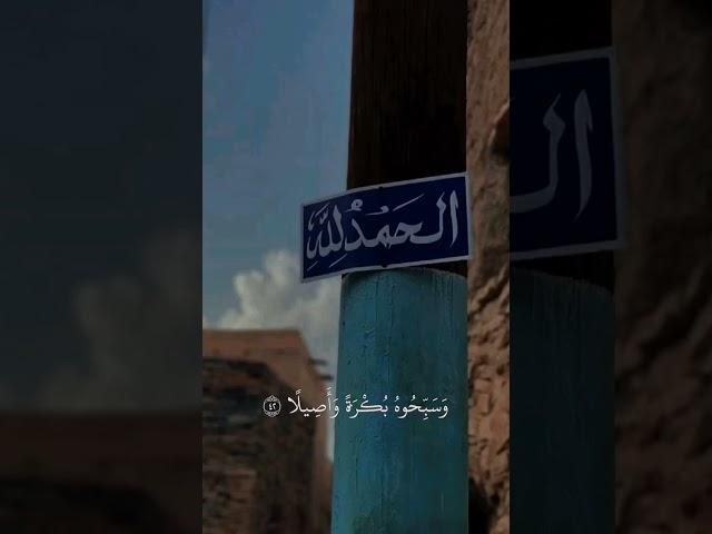 ارح سمعك بالقرآن الكريم ️️# قران كريم بصوت القارئ ياسر الدوسري | تلاوة هادئة ومريحة#راحة نفسية