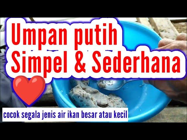 Umpan Putih rebus Simpel sederhana buat Langsung untuk mancing...ikan turun besar besar...?!