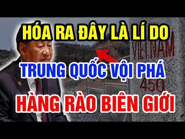 Tiết Lộ Bí Mật Động Trời Khiến Trung Quốc Vội Vàng Phá Bỏ Hàng Rào Biên Giới Việt Trung