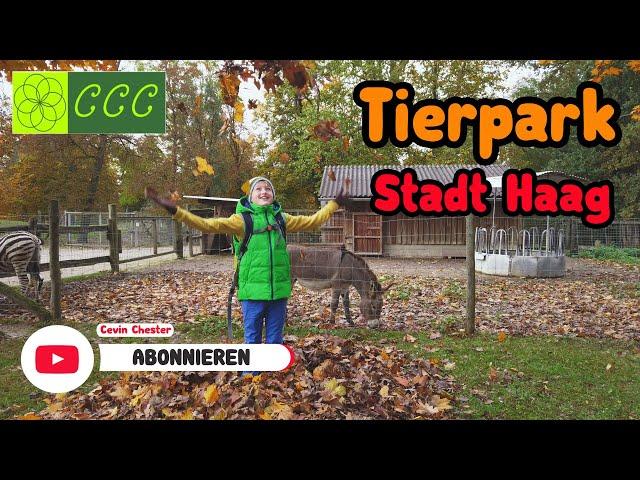 [CCC]Tierpark | Haag | Niederösterreich | Ausflug