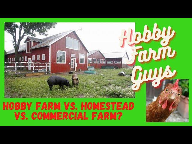 What Is a Hobby Farm? And How It Differs From a Homestead or Small Farm