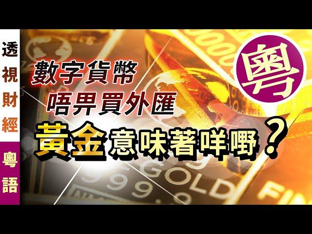 數字貨幣唔畀買外匯、黃金意味著咩嘢？｜「透視財經」【0010】SinoInsider 20201020