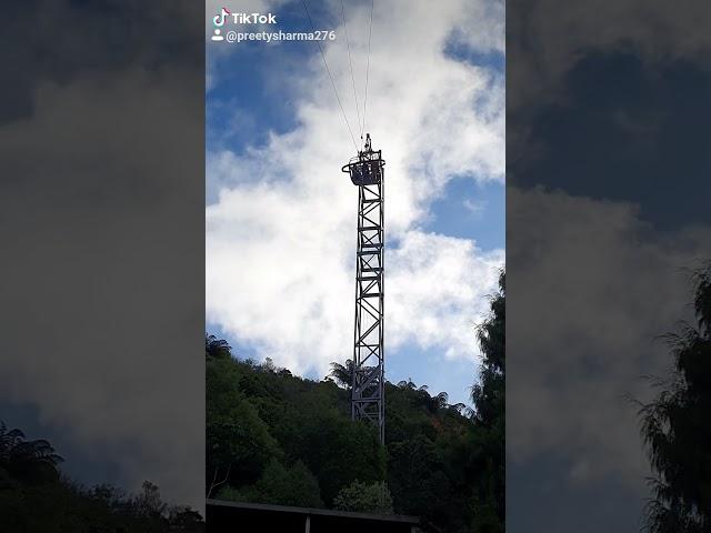 Swing in Rotorua.. #psaucklandwale #newzealandtourism #placestovisit #swing #shortvideo #shortsviral