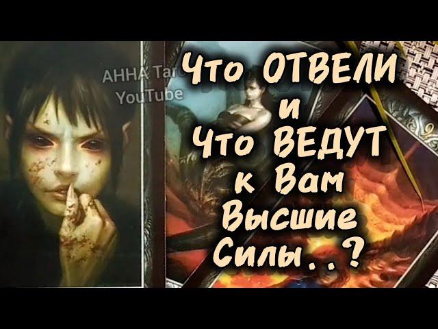 ЧТО ОТВЕЛИ и КОГО ВЕДУТ К ВАМ ВЫСШИЕ СИЛЫ?..️ Гадание Таро