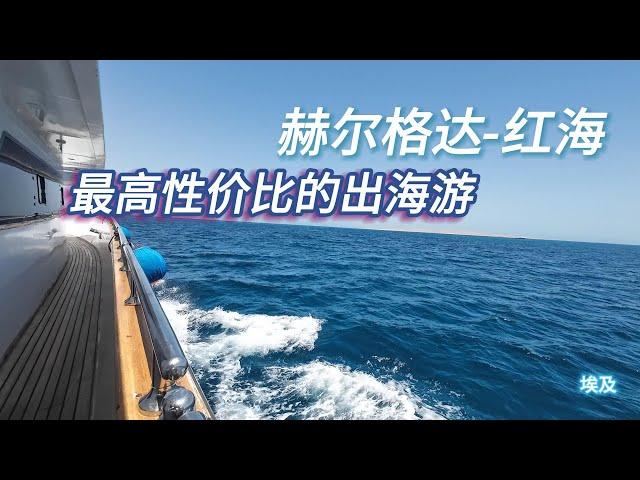 埃及红海-赫尔格达 性价比最高的出海浮潜