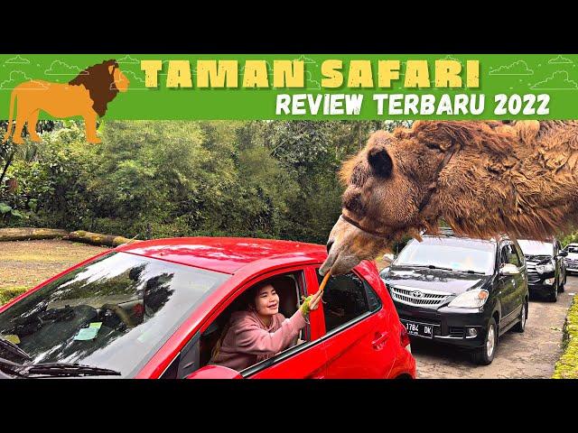 TAMAN SAFARI BOGOR 2022 | Review Terbaru Taman Safari 2022