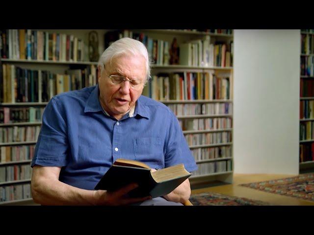 Sir David Attenborough Reads Charles Darwin | #Attenborough90 | BBC