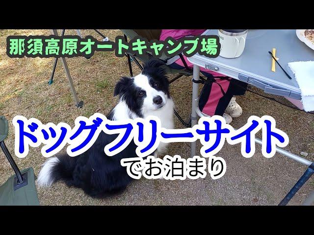 ドッグフリーサイトで愛犬と泊まれる　那須高原オートキャンプ場