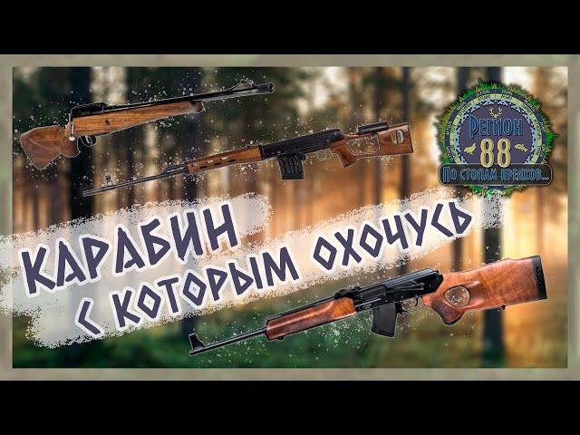 Регион 88 | Карабин с которым охочусь. Тигр, Лось, Вепрь.