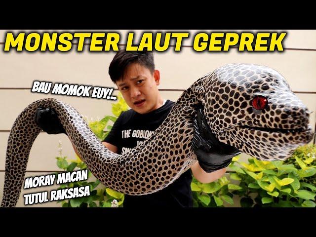 MASAK BELUT MONSTER RAKSASA. SUSAH MATENGNYA, LENDIRNYA GURIH ASIN.