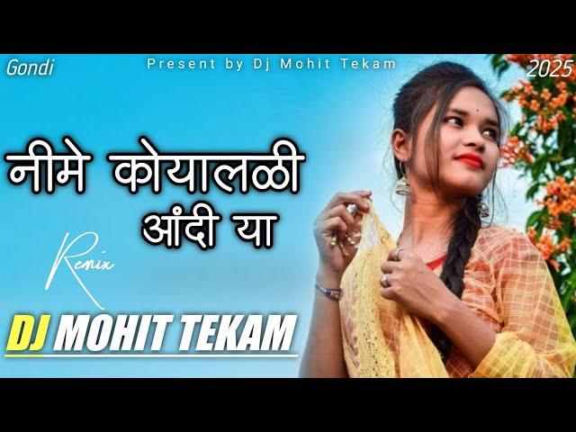 Nime Koyaladi Andi Ha Gondi Songs (Tapori Mix) Dj Mohit Tekam Chunala