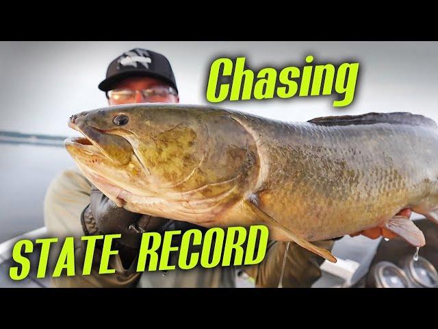 INSANE BOWFIN Fishing!!! Part 2