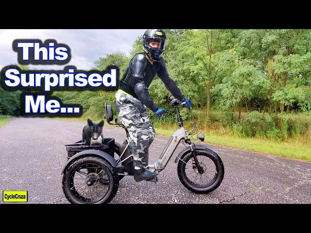 This Electric Trike Can Go OFF-ROAD | Puckipuppy Husky Plus Electric Tricycle Review