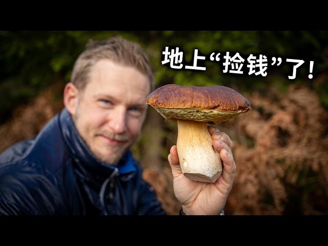 [ENG中文 SUB] MUSHROOM PICKING - I hope i will survive this!