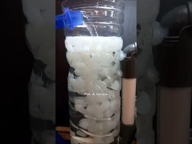 Aquarium top filter DIY | Fish tank filter DIY