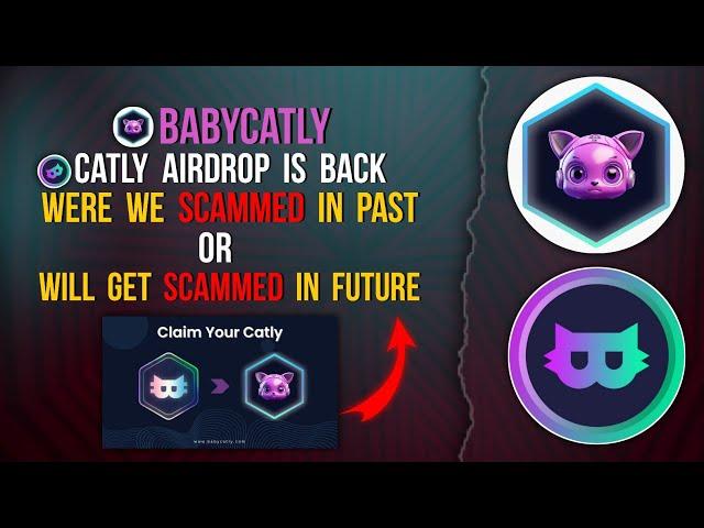 BABYCATLY | CATLY LEGIT OR SCAM #catly #catlyairdrop #scam
