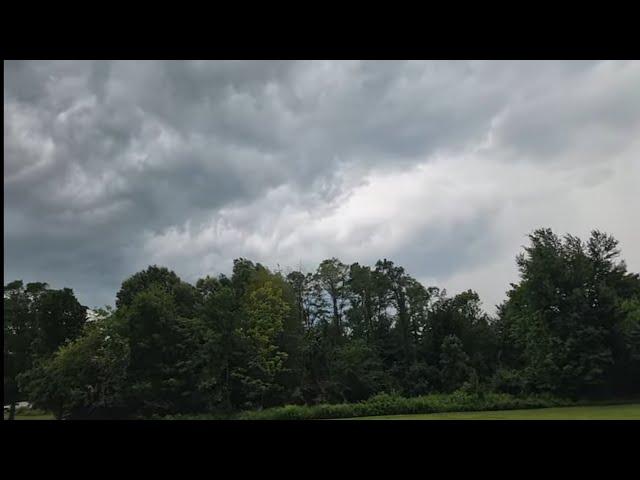 Planting in a Storm! GreenStalk Garden Awesome Vertical Planter Strawberry Tower Flower Farmer