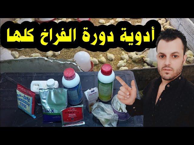 جميع أدوية دورة الفراخ في الفيديو دا