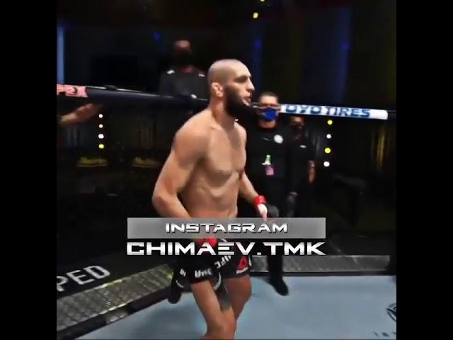 Хамзат Чимаев