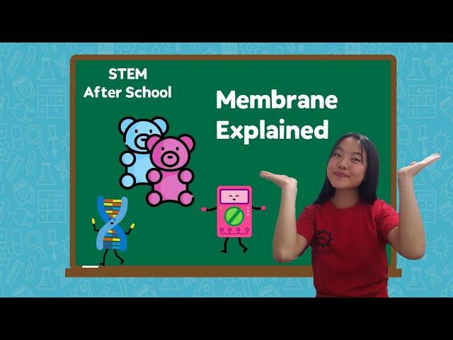What is Osmosis? [Membrane Explained!]